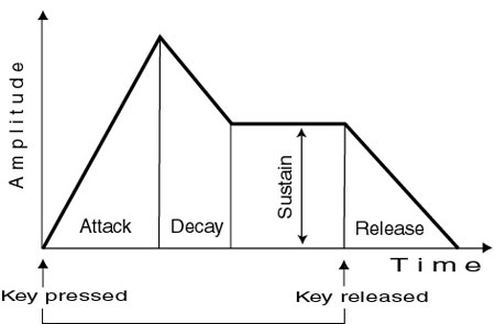 The four phases of a standard ADSR envelope.