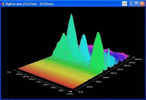 The Fourier Analysis function in WaveLab can analyse a sound and break it down into its component frequencies.